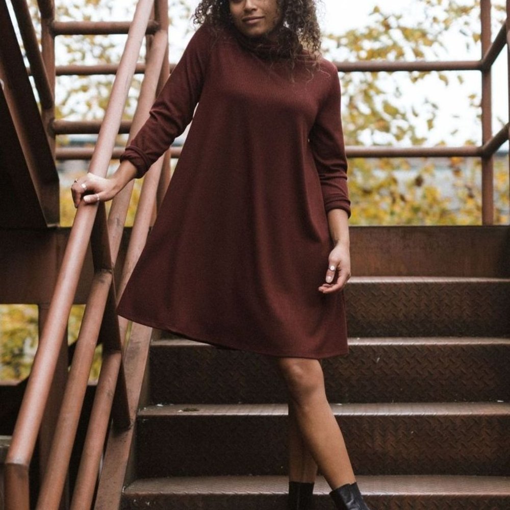 NWT Jackson Rowe Passage Turtleneck Dress